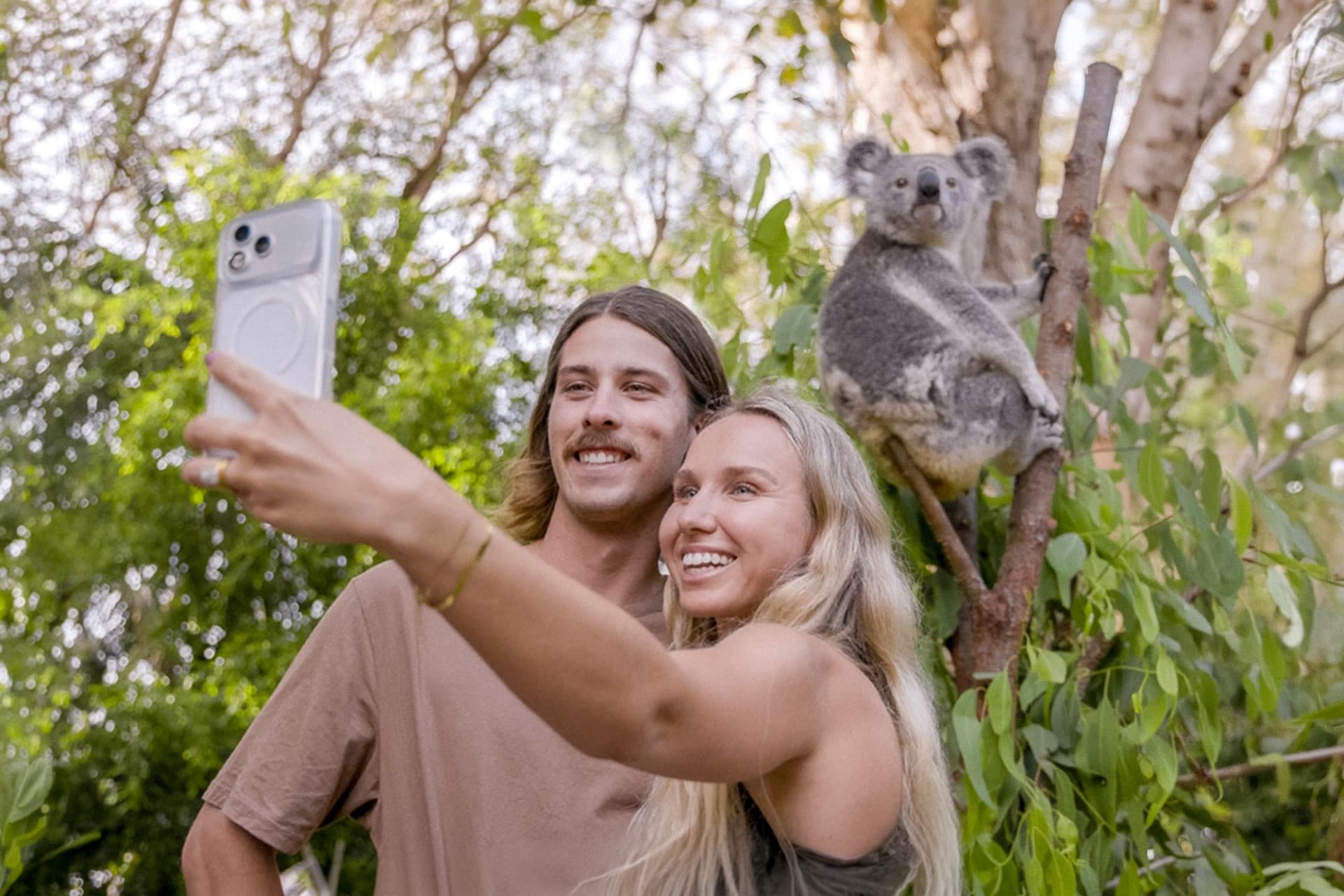 Currumbin Wildlife Sanctuary Gold Coast Ticket - image 3